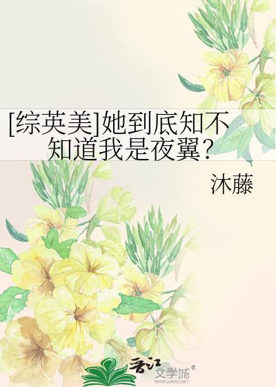 综英美夜翼cp文