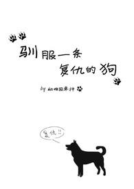 为一只狗复仇的电影