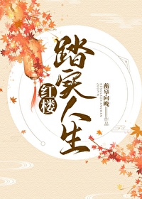 [红楼同人] 红楼踏实人生