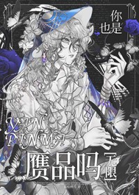 你也是赝品吗[无限]