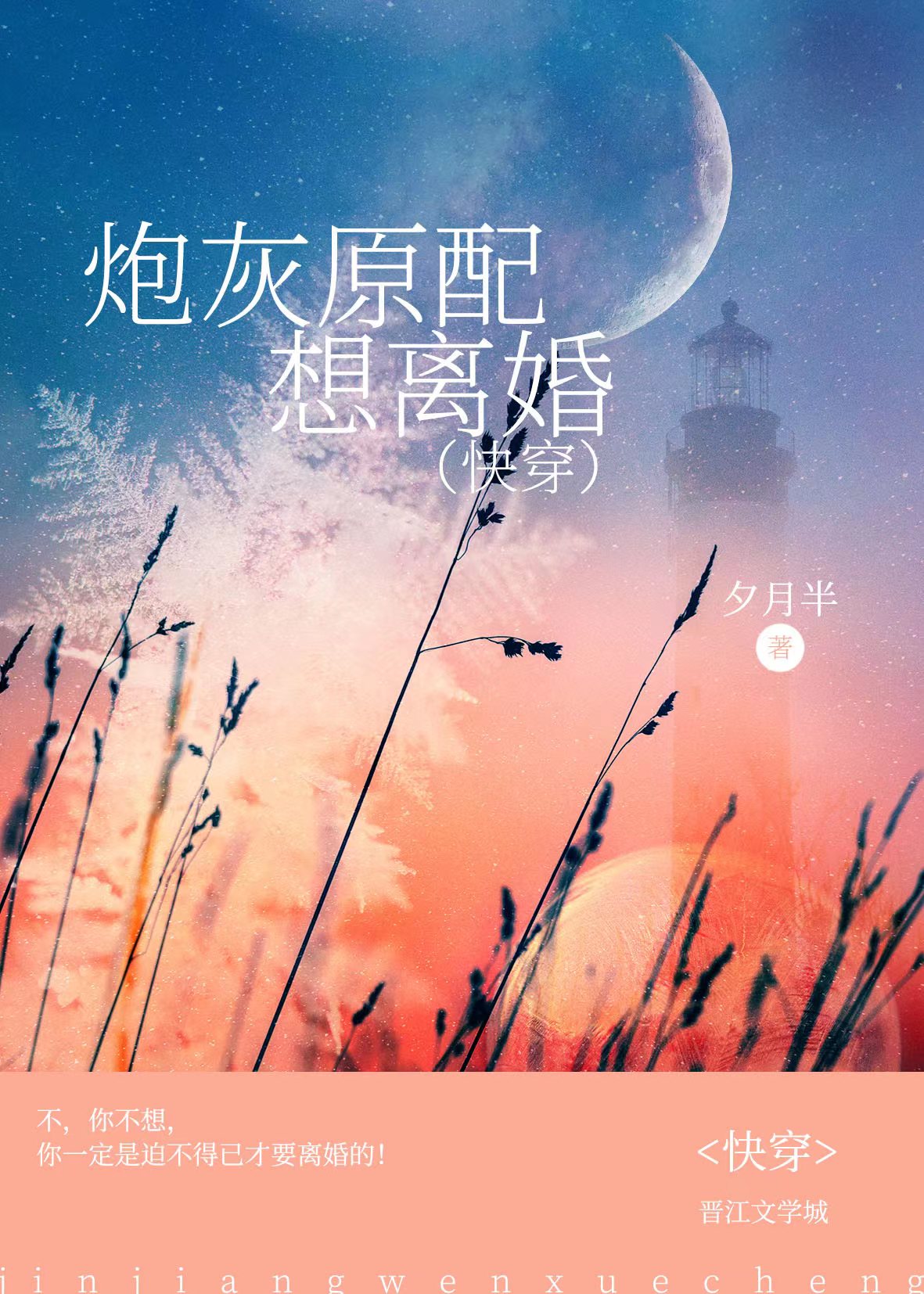 炮灰原配要离婚小说全文阅读