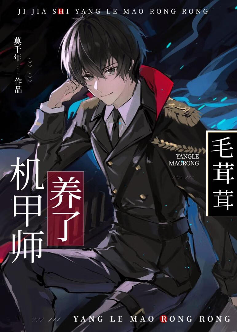 最强机甲师小说