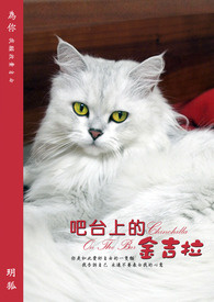 吧台上的招财摆件