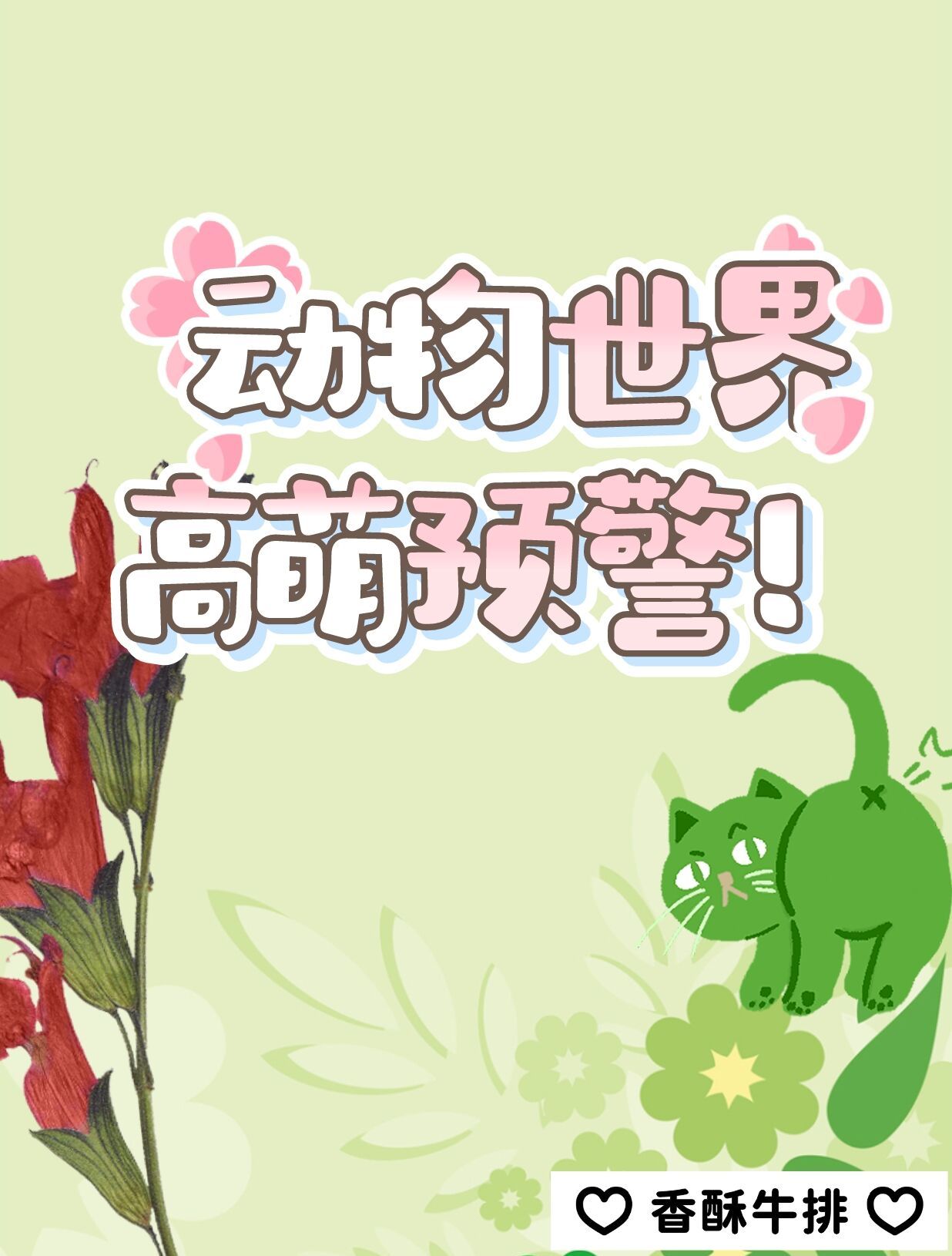 动物世界免费阅读